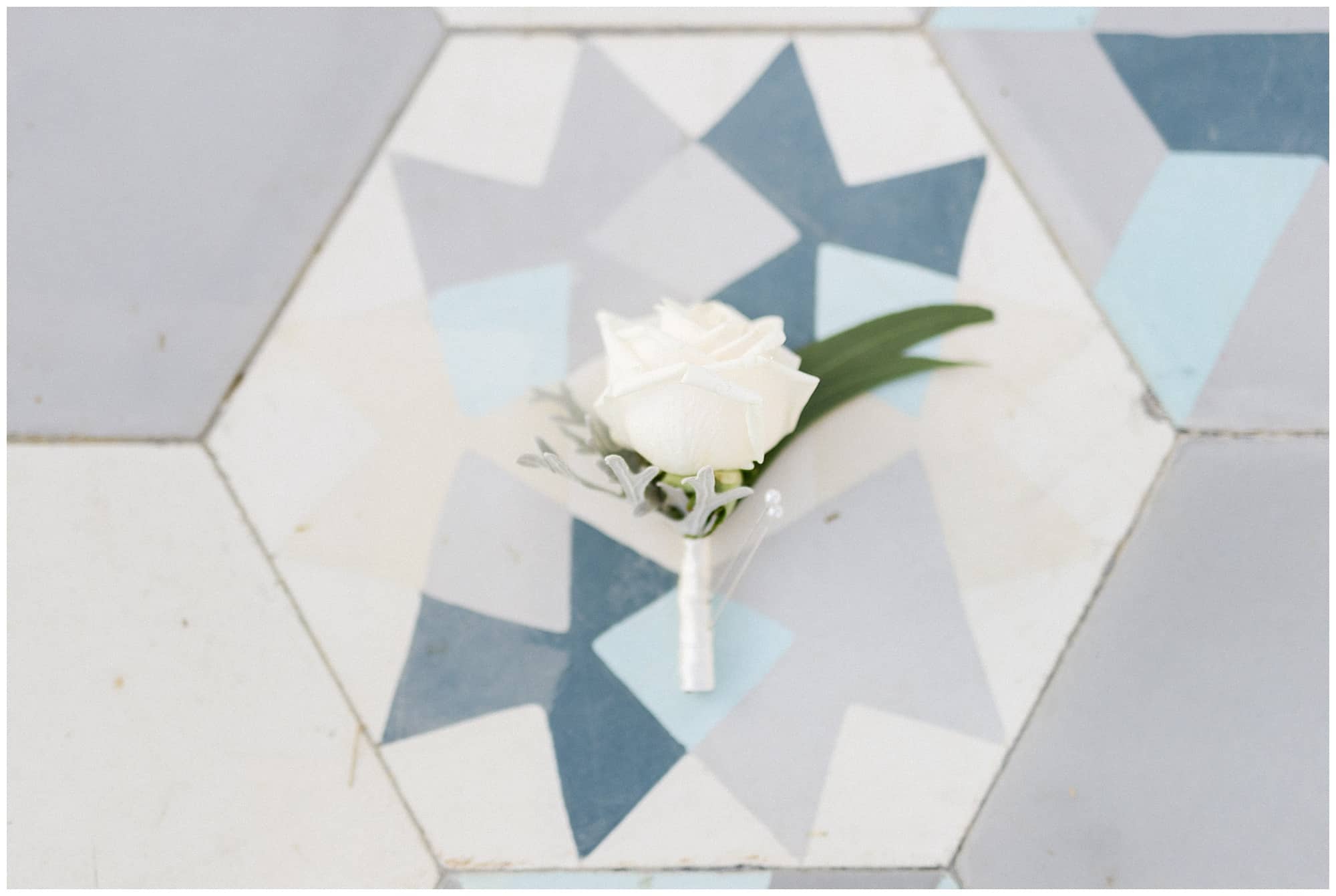 Cabo Farm Wedding acre wedding, sara richardson photography, cabo wedding, cabo wedding photographer, wedding in Cabo